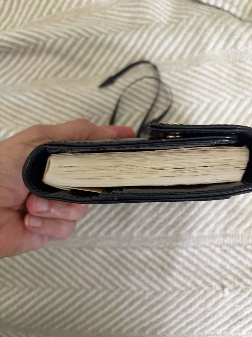 Hobonichi selling my